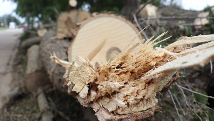 Blair, Nebraska Storm Cleanup